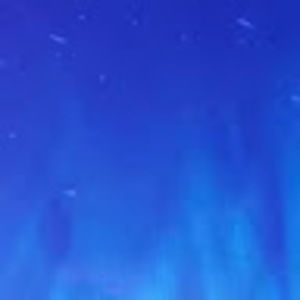 Meet your Posher, Will